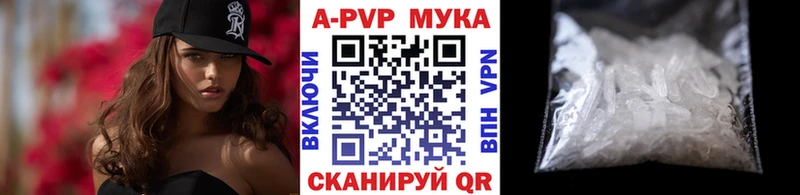 закладка  Пермь  Альфа ПВП СК КРИС 