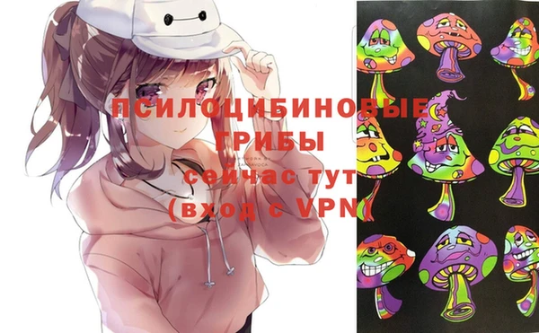 дурь Михайловка